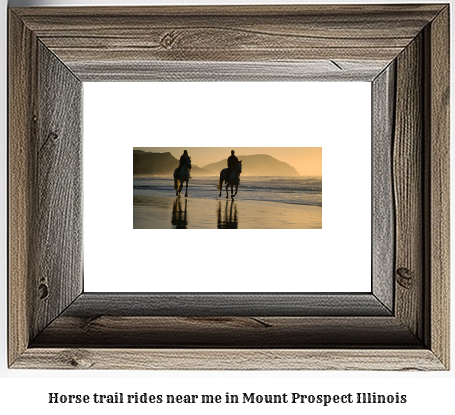 horse trail rides near me in Mount Prospect, Illinois